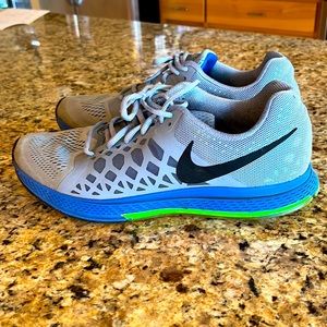 MENS NIKE PEGASUS 31 SHOES